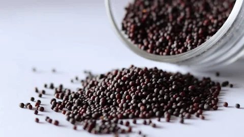 Black Mustard Seeds