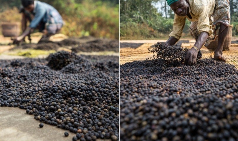 Traditional Pepper Drying