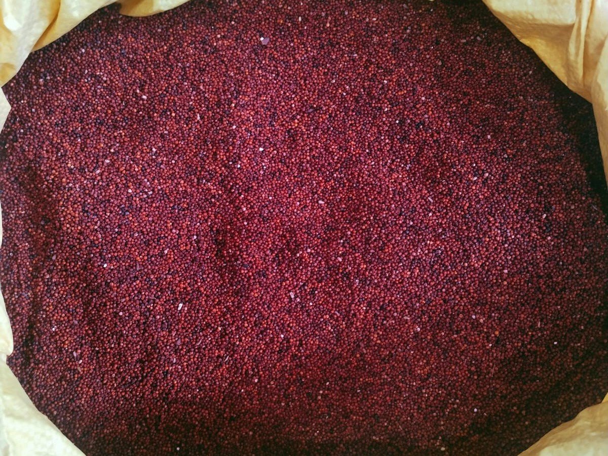 Organic Finger Millet Grains