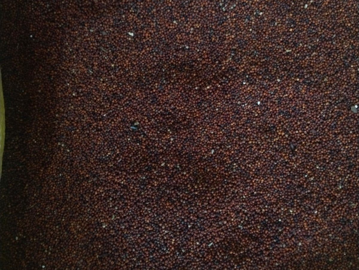 Wayanad Ragi Grains