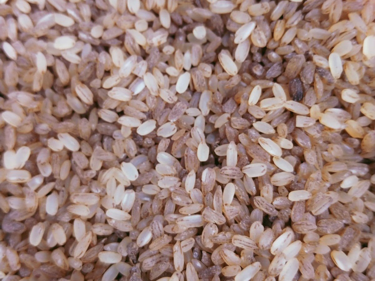 Wayanad Thondi Rice