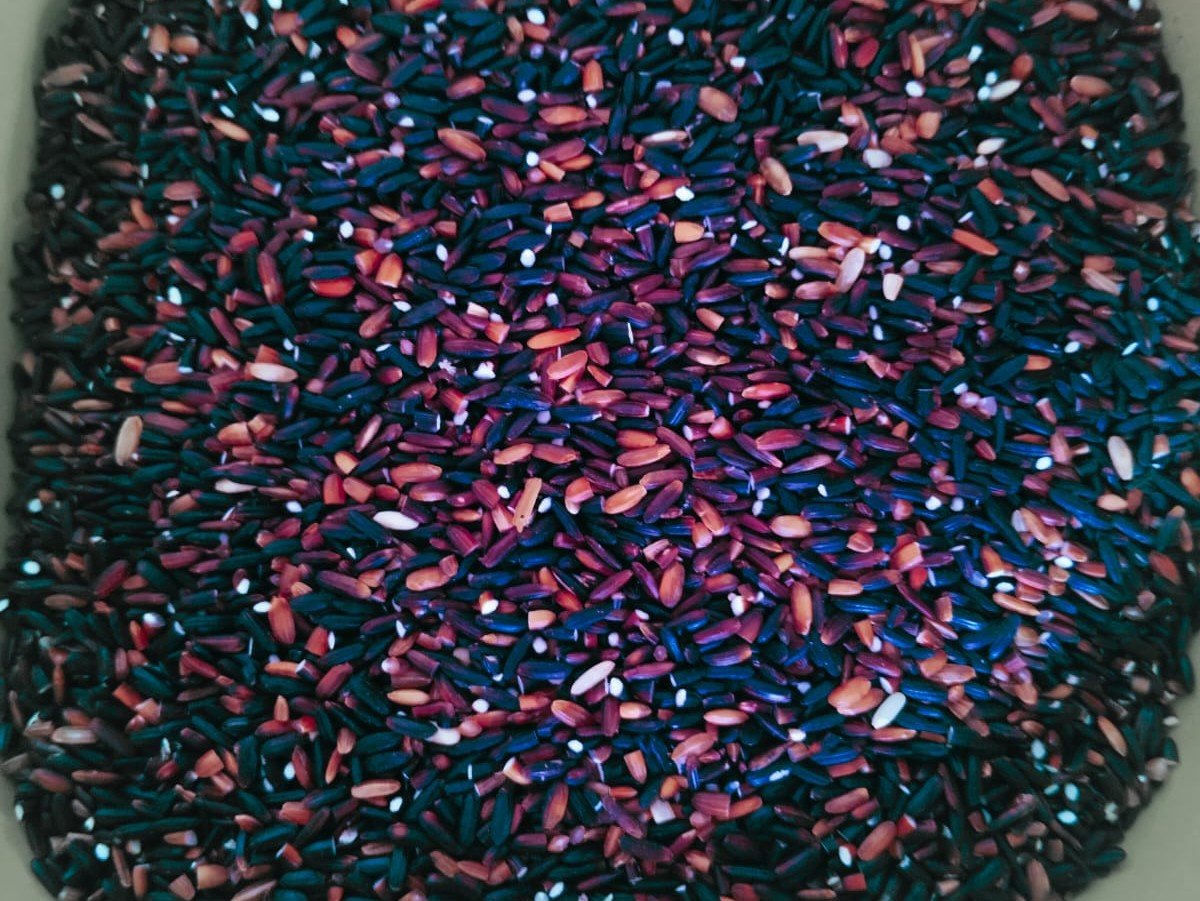 Premium Black Rice Grains