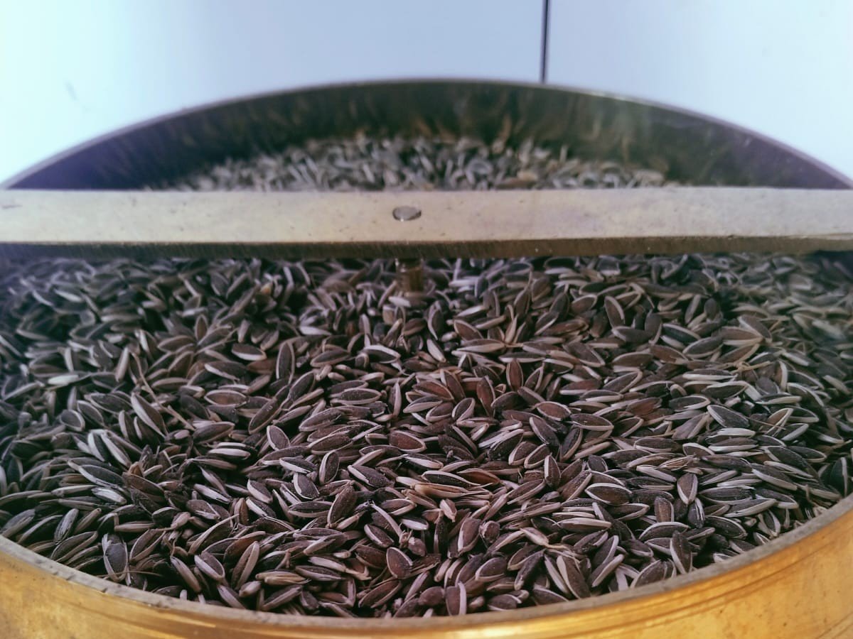 Striped Sunflower Seeds